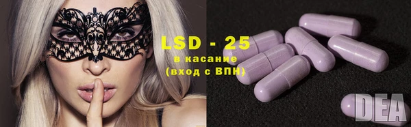 спиды Дмитриев