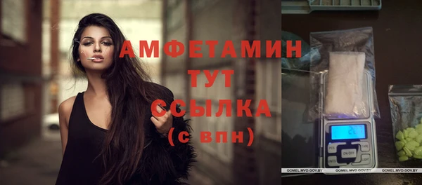 спиды Дмитриев