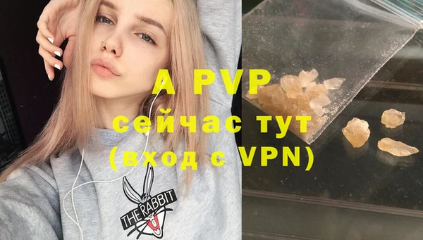 спиды Дмитриев