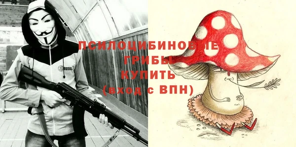 спиды Дмитриев