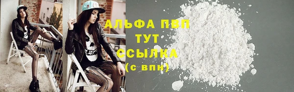 спиды Дмитриев