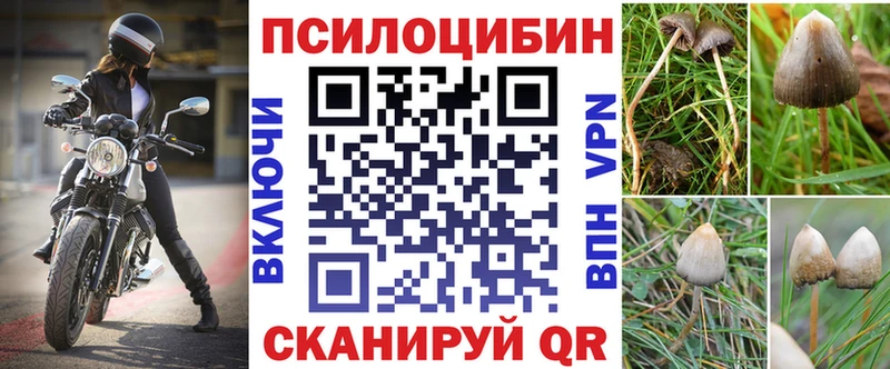 Купить закладки  Кизел  Галлюциногенные грибы прущие грибы 